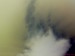 DSC00010.JPG